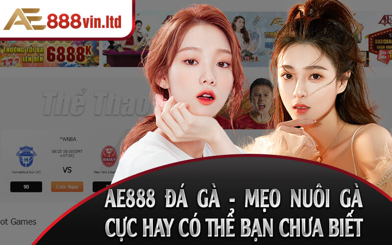 AE888 Da Ga Meo Nuoi Ga Cuc Hay Co The Ban Chua Biet